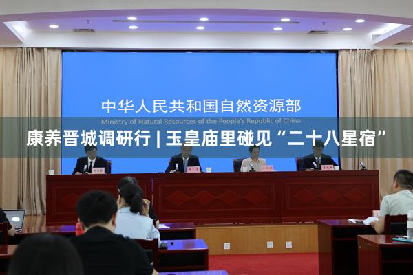 康养晋城调研行 | 玉皇庙里碰见“二十八星宿”