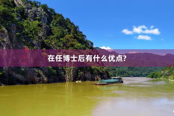 在任博士后有什么优点?