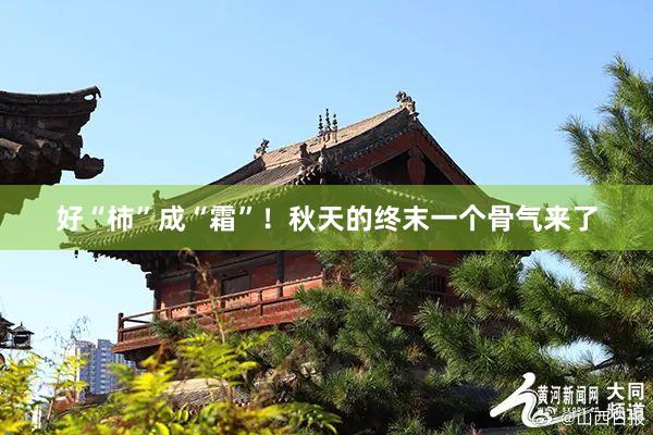 好“柿”成“霜”！秋天的终末一个骨气来了