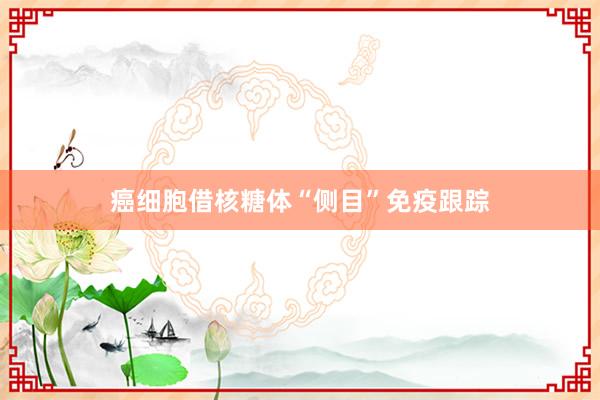 癌细胞借核糖体“侧目”免疫跟踪