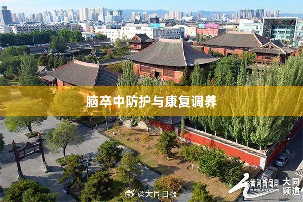 脑卒中防护与康复调养