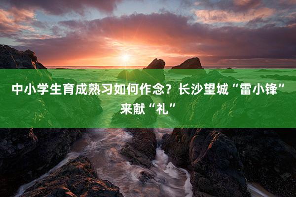 中小学生育成熟习如何作念？长沙望城“雷小锋”来献“礼”