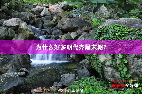 为什么好多朝代齐黑宋朝？