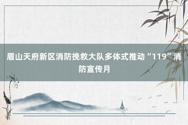 眉山天府新区消防挽救大队多体式推动“119”消防宣传月