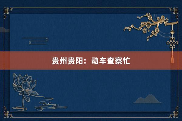贵州贵阳：动车查察忙