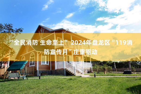 “全民消防 生命至上” 2024年盘龙区“119消防宣传月”庄重驱动
