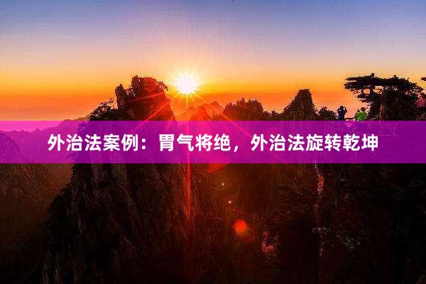 外治法案例：胃气将绝，外治法旋转乾坤