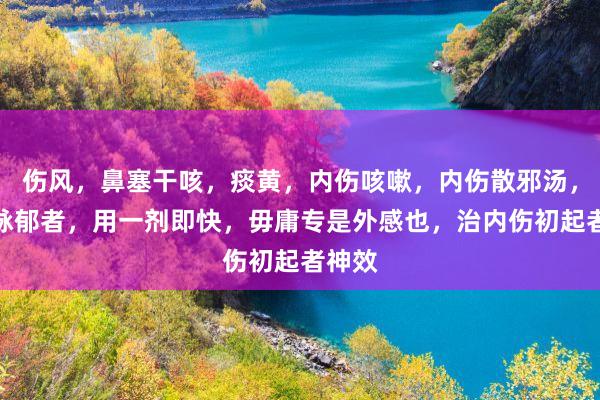 伤风，鼻塞干咳，痰黄，内伤咳嗽，内伤散邪汤，凡肝脉郁者，用一剂即快，毋庸专是外感也，治内伤初起者神效
