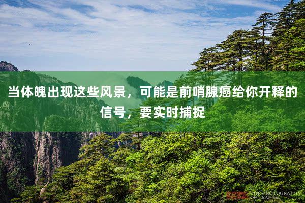 当体魄出现这些风景，可能是前哨腺癌给你开释的信号，要实时捕捉