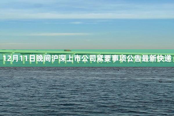 12月11日晚间沪深上市公司紧要事项公告最新快递