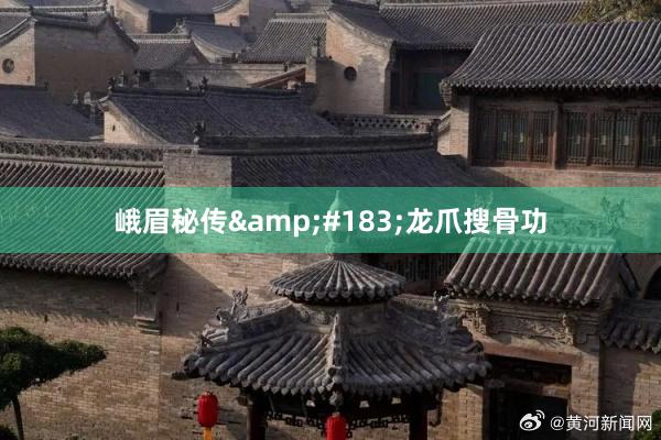 峨眉秘传&#183;龙爪搜骨功